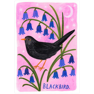 Blackbird Bird Art Print