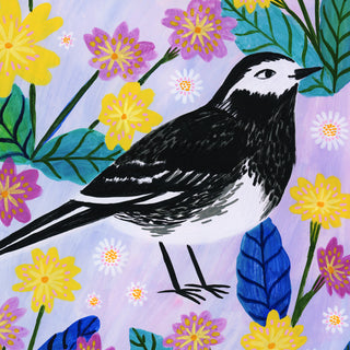 Pied Wagtail Bird Art Print