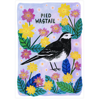 Pied Wagtail Bird Poster