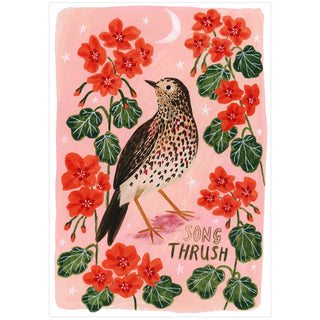 Song Thrush Bird Poster