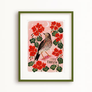 Song Thrush Bird Poster