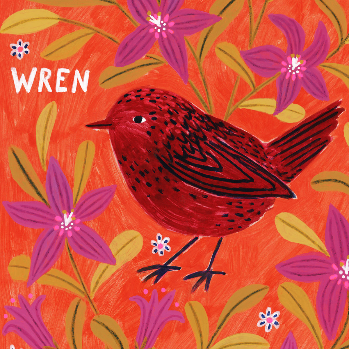 Wren Bird Art Print