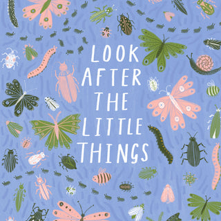 Look After the Little Things Poster