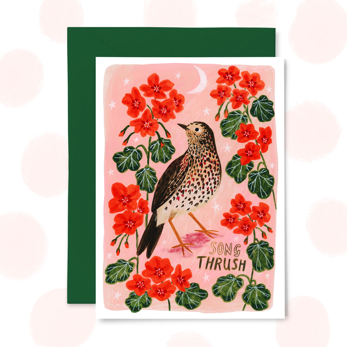 Song Thrush Greetings Card