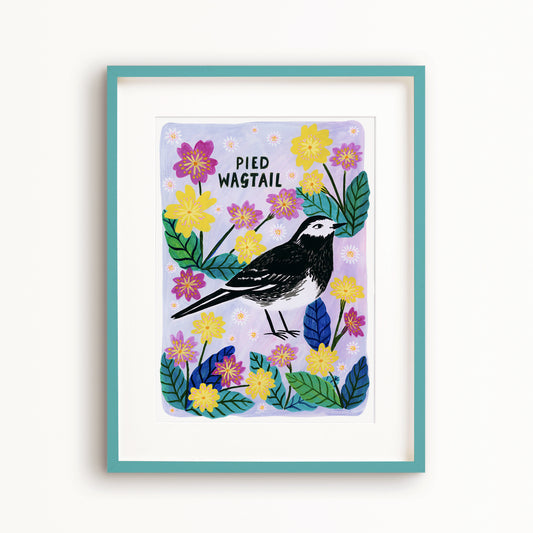 Pied Wagtail Bird Art Print